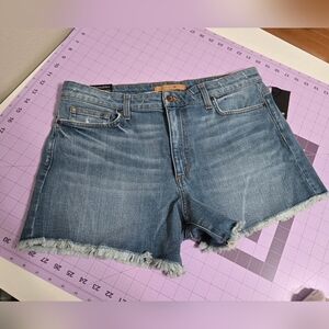 Joes Jeans Denim Short Size 32